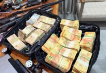 Operação Ophidia IV é encerrada com 23 presos e prejuízo de R$ 7 milhões ao crime organizado em Cascavel e região