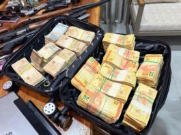 Operação Ophidia IV é encerrada com 23 presos e prejuízo de R$ 7 milhões ao crime organizado em Cascavel e região