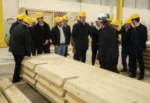 Paraná propõe compra de créditos tributários e redução de ICMS para auxiliar setor madeireiro