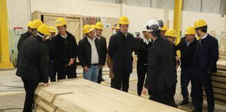 Paraná propõe compra de créditos tributários e redução de ICMS para auxiliar setor madeireiro