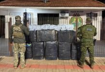 Polícia apreende meia tonelada de agrotóxicos em Mercedes