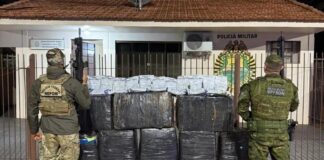 Polícia apreende meia tonelada de agrotóxicos em Mercedes