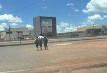 População pede passarela para travessia segura na Avenida Egydio Geronymo Munaretto, em Toledo