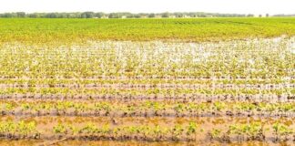 Tornados e granizo afetam 270 mil hectares e pressionam próxima safra