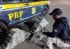 Ação da PRF resulta na prisão de casal e apreensão de mais de 100 kg de maconha carregada em Pato Bragado