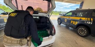 Ação da PRF resulta na prisão de casal e apreensão de mais de 100 kg de maconha carregada em Pato Bragado