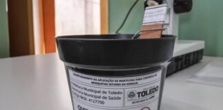 Adoção de ovitrampas traz mudanças no combate ao Aedes aegypti em Toledo