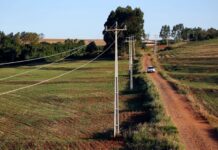 Agro reage à lei da faixa limpa e pressiona por revogação no Paraná