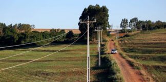 Agro reage à lei da faixa limpa e pressiona por revogação no Paraná
