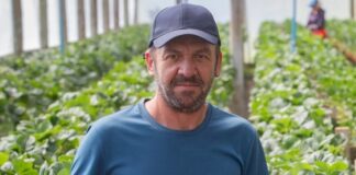 Após recuperação de caminhonete em Guaíra agricultor morre por engano e 18 policiais são afastados