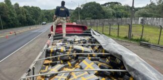 Apreensão de drogas nas rodovias federais do Paraná chegou a quase 300 toneladas em 2025