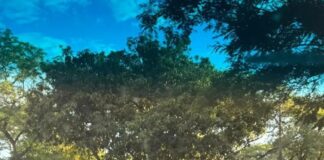 Caminhonete furtada em Cascavel é recuperada após perseguição em Toledo