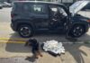 Cão farejador identifica droga escondida em painel de carro e suspeito de tráfico é preso na região