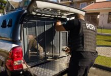 Empresário condenado por mandar matar homem para quitar dívida de R 130 mil é preso no Paraná