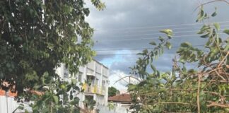 Enorme galho de árvore cai no centro e danifica veículo estacionado em Toledo