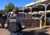 Grande operação da PM resulta em apreensão de mais de uma tonelada de maconha em Cascavel