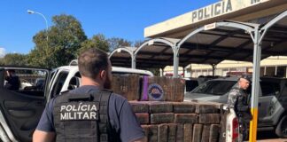 Grande operação da PM resulta em apreensão de mais de uma tonelada de maconha em Cascavel