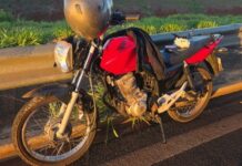 Motocicleta furtada é localizada em área de mata após denúncia, em Assis Chateaubriand