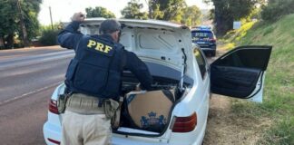 PRF apreende carga de cigarros contrabandeados que seria levada para Toledo