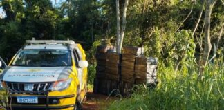 Patrulha Rural apreende 18 mil carteiras de cigarros em porto clandestino de Itaipulândia