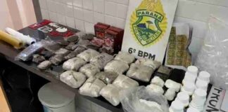 Polícia divulga resultados de operação em depósito de drogas na região