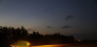 Portaria do Paraná amplia período de plantio da soja para produção de sementes