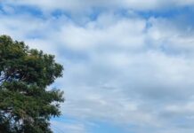 Sexta-feira será com clima típico de verão no Paraná