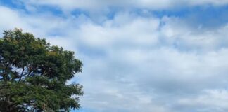 Sexta-feira será com clima típico de verão no Paraná