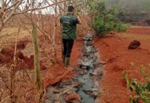 Suinocultores devem renovar licença ambiental e outorga d’água 120 dias antes do término