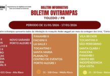 Toledo divulga primeiro Boletim Ovitrampas de infestação do Aedes aegypti