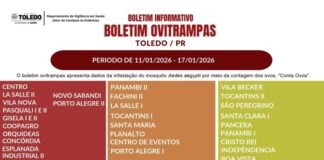 Toledo divulga primeiro Boletim Ovitrampas de infestação do Aedes aegypti