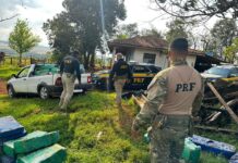 Quase meia tonelada de maconha é apreendida em Santa Tereza do Oeste