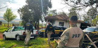 Quase meia tonelada de maconha é apreendida em Santa Tereza do Oeste