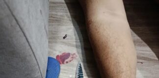 Homem é morto a facadas e esposa o encontra ao voltar do trabalho em Toledo