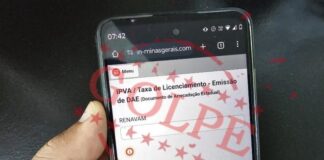 Mulher cai em golpe ao tentar pagar IPVA pela internet em Pato Bragado