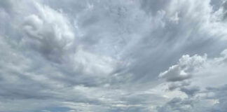 Com 61.090 visitantes, primeiro dia do Show Rural tem recorde de público