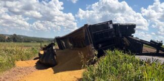 Reboque de carreta tomba e carga de farelo se espalha às margens da BR-163