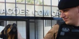 Policial rodoviário morre no hospital após acidente com viatura no interior do Paraná