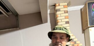 Onça-parda é capturada dentro de residência em Maringá