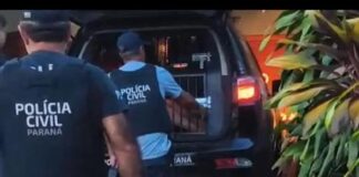 Acusado de tráfico de drogas é preso no bairro Botafogo em Marechal Rondon