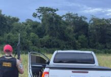 Após perseguição em rodovia de Palotina polícia recupera caminhonete furtada