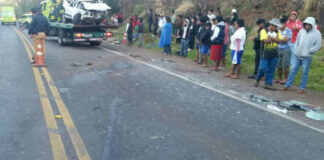 Atropelamento com morte é registrado na BR-277 em área de reserva indígena.jpg