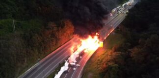 Caminhão de transportadora pega fogo e motorista morre no Paraná