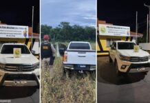 Caminhonete furtada é recuperada após perseguição na PR-364 em Palotina