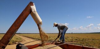 Crédito e custeio guiam propostas do agro do Paraná ao Plano Safra