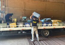 Em Guaíra, mais de três toneladas de maconha são encontradas em carga de soja