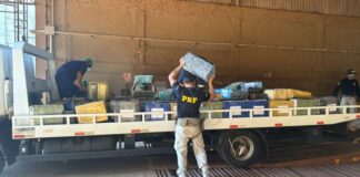 Em Guaíra, mais de três toneladas de maconha são encontradas em carga de soja