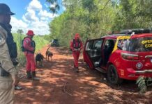 Homem que esfaqueou ex-companheira e fugiu com criança morre após atacar policial no PR