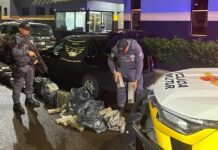 Jovem é preso na região com mais de 200 quilos de maconha