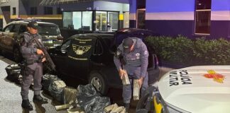 Jovem é preso na região com mais de 200 quilos de maconha